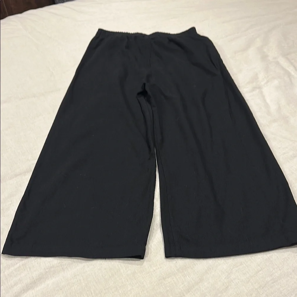 Francesca's Collections Black Cropped Pants - Picture 6 of 7